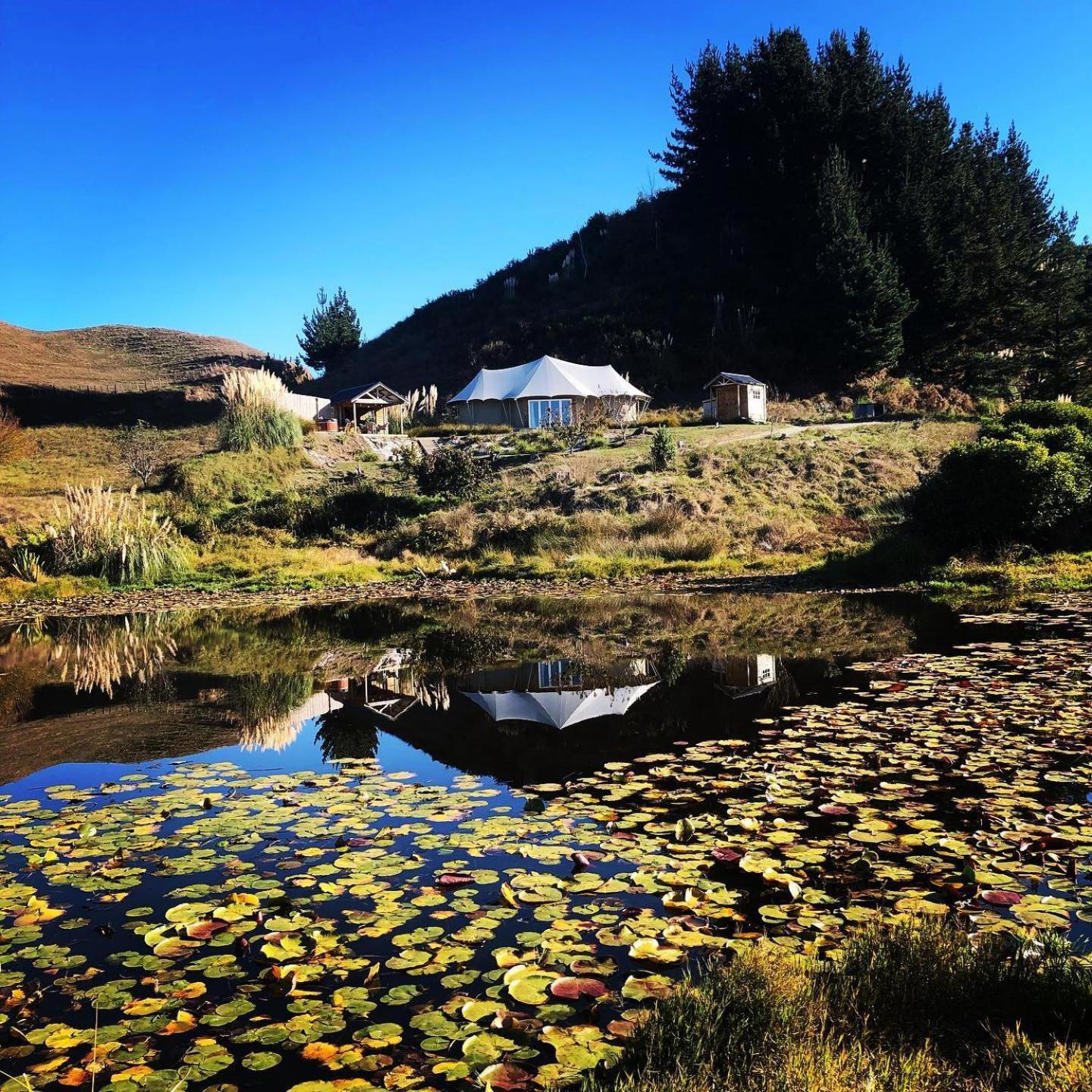 Orchard Valley Glamping Otorohanga Exterior foto